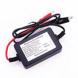 Battery Re-generator Auto Pulse Desulfator 12v 24v 36v 48v
